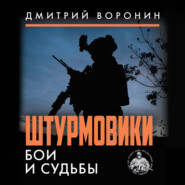 Штурмовики. Бои и судьбы