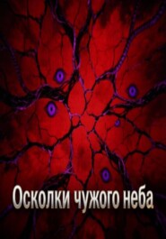 Осколки чужого неба