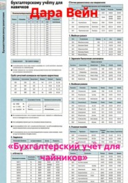 «Бухгалтерский учёт для чайников»