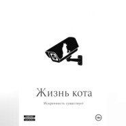 Жизнь кота