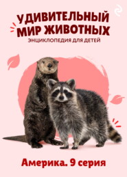 Удивительный мир животных. Америка. 9 серия