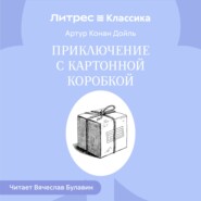 Приключение с картонной коробкой