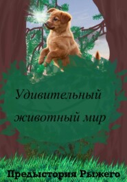 Удивительный животный мир. Предыстория Рыжего