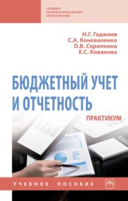 Бюджетный учет и отчетность. Практикум