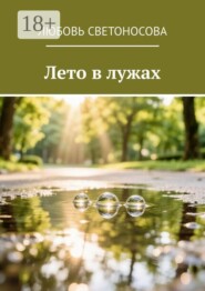 Лето в лужах