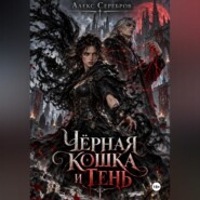Чёрная кошка и тень