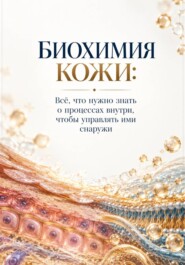 Биохимия Кожи: Всё, что нужно знать о процессах внутри, чтобы управлять ими снаружи