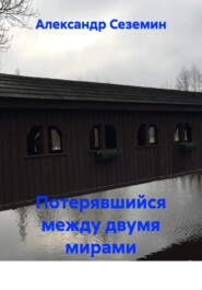 Потерявшийся между двумя мирами