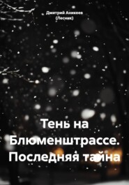 Тень на Блюменштрассе. Последняя тайна