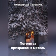 Погоня за призраком в метель
