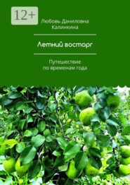Летний восторг. Путешествие по временам года