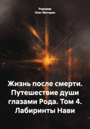 Жизнь после смерти. Путешествие души глазами Рода. Том 4. Лабиринты Нави