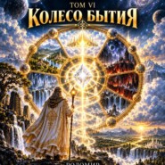 Жизнь после смерти. Путешествие души глазами рода. Том 6. Колесо бытия