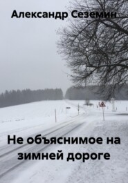Не объяснимое на зимней дороге
