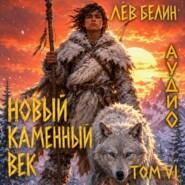 Новый каменный век. Том VI
