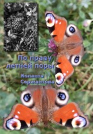 По праву летней поры
