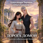 Дорога домой