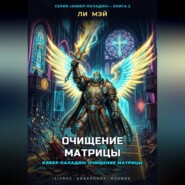 Кибер-Паладин: Очищение Матрицы