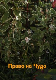 Право на чудо