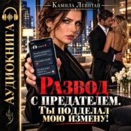 Развод с предателем. Ты подделал мою измену!