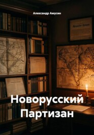 Новорусский Партизан