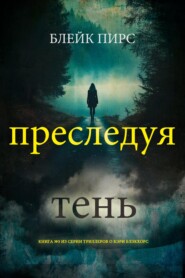 Преследуя тень