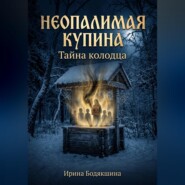 Неопалимая Купина. Тайна колодца