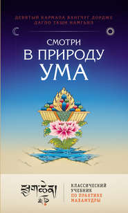 Смотри в природу ума. Классический учебник по практике Махамудры