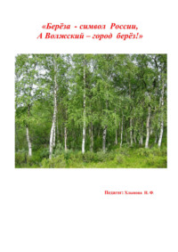 Берёза символ России, а Волжский – город берёз