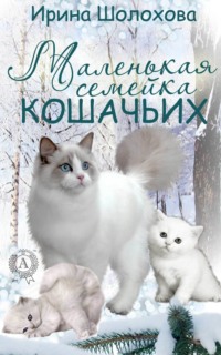 Маленькая семейка кошачьих