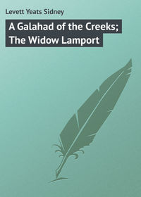 A Galahad of the Creeks; The Widow Lamport