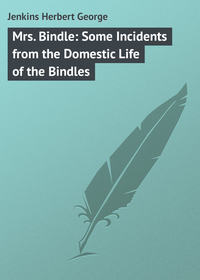 Mrs. Bindle: Some Incidents from the Domestic Life of the Bindles