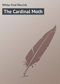 The Cardinal Moth