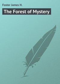 The Forest of Mystery