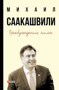 Пробуждение силы. Уроки Грузии – для будущего Украины