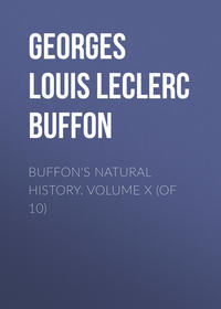 Buffon&apos;s Natural History. Volume X (of 10)