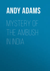 Mystery of the Ambush in India