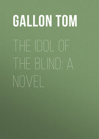 The Idol of The Blind: A Novel