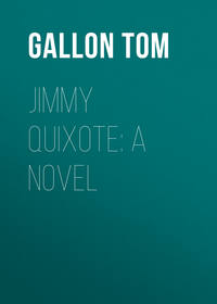 Jimmy Quixote: A Novel