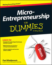 Micro-Entrepreneurship For Dummies