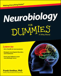 Neurobiology For Dummies