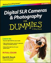 Digital SLR Cameras and Photography For Dummies