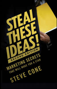 Steal These Ideas!. Marketing Secrets That Will Make You a Star