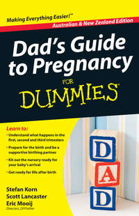 Dad's Guide to Pregnancy For Dummies