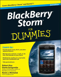 BlackBerry Storm For Dummies