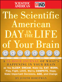 The Scientific American Day in the Life of Your Brain. A 24 hour Journal of What's Happening in Your Brain as you Sleep, Dream, Wake Up, Eat, Work, Play, Fight, Love, Worry, Compete, Hope, Make Important Decisions, Age and Change