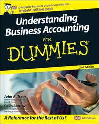 Understanding Business Accounting For Dummies