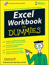 Excel Workbook For Dummies