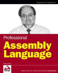 Professional Assembly Language