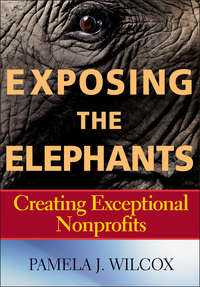 Exposing the Elephants. Creating Exceptional Nonprofits